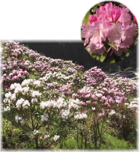 ���Ⴍ�Ȃ�